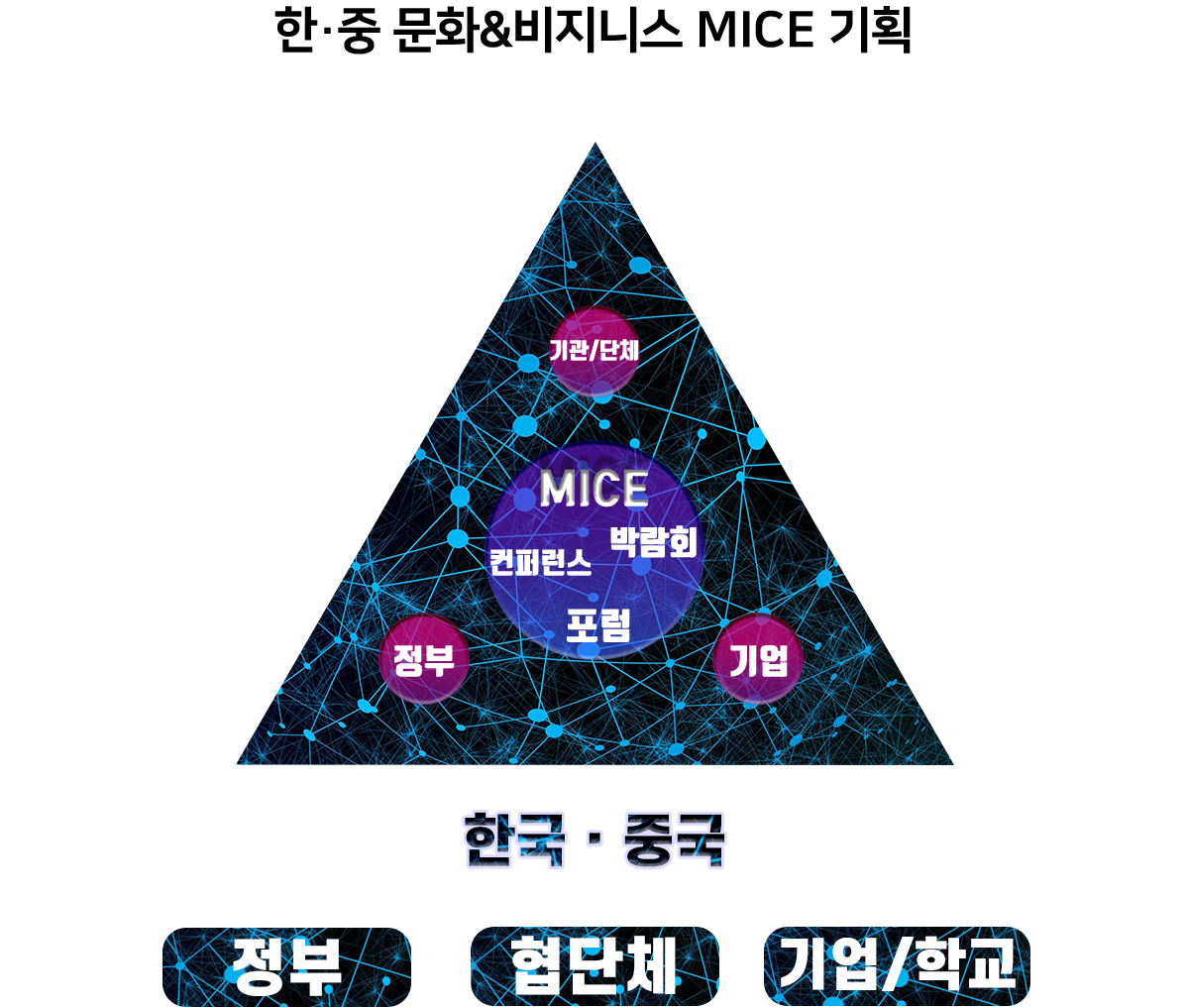 한중 문화 비지니스 mice 기획